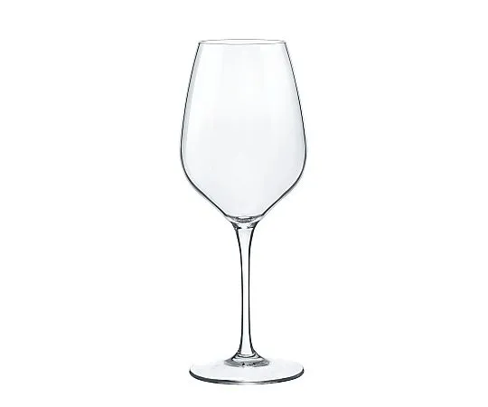 69-5199-19 Bormi Orillo Caris de Gustachione AIS Tasting Glass 430 mL(1.70470. B31) 8102680