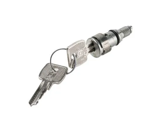 63-7595-59 Legrand Key Barrel for *** with Atlantic Enclosure, Marina Enclosure 0 368 22