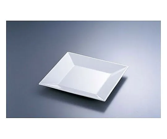 62-6840-76 20 cm Plate C-183