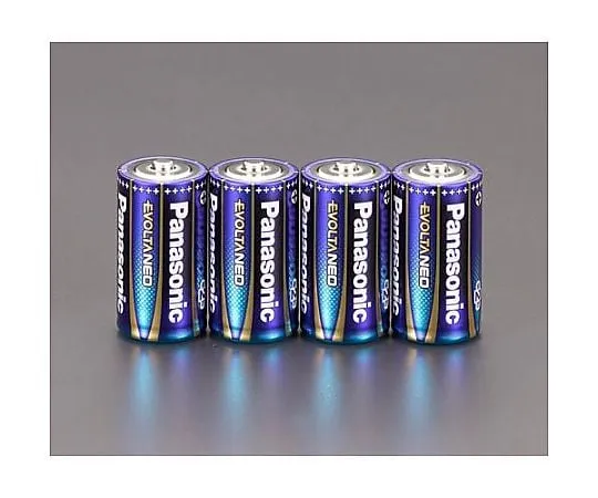 62-9149-69 Evolta Neo Dry Cell EA758YR-21