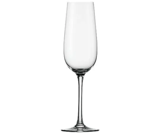 62-6811-06 Wineland Flute Champagne (6 pcs) 1000007