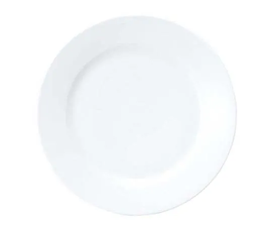 63-7193-80 Chinese meat plate 24 cm 3203 white 7628400