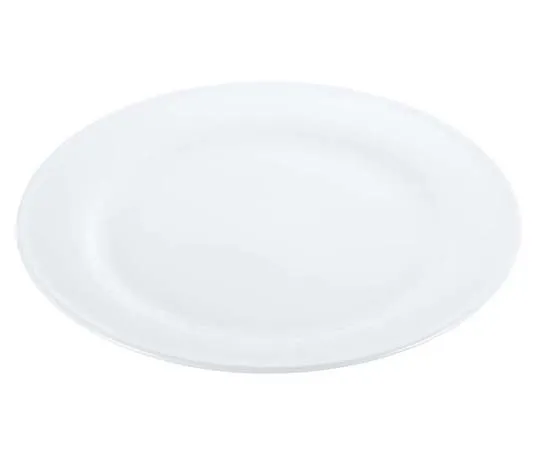 63-7194-62 Super Ceramic Rim Meat Plate 9inch 8179170