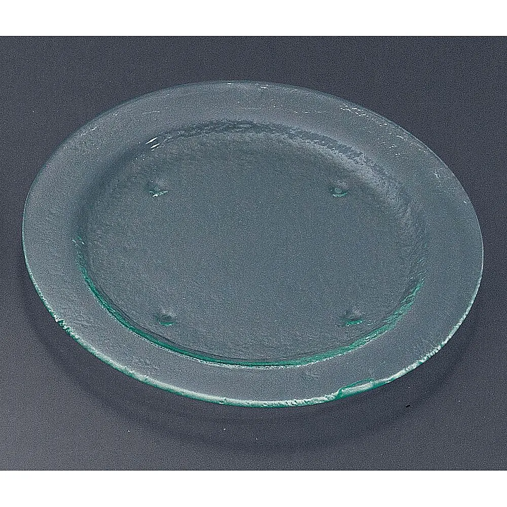 62-6835-87 Tiger Glass Round Plate 270 Clear 162-031-02
