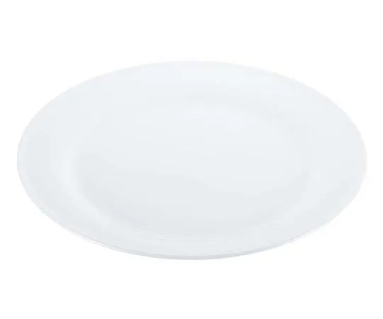 63-7194-61 Super Ceramic Rim Dinner Plate 10inch 8179160