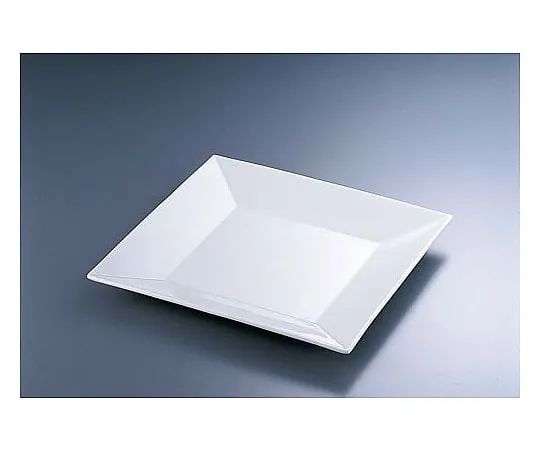 62-6840-77 C-184 25 cm Plate