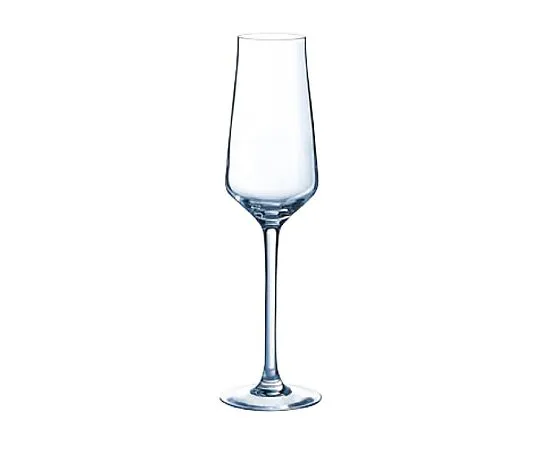 69-5199-98 Reveal Up Flute 21 J8907 210 mL 7999600