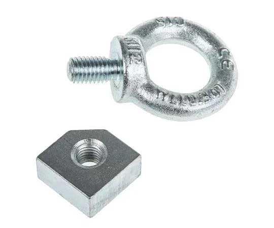 63-7724-26　Schneider Electric Eyebolt for *** with Spacial SF Enclosure, Spacial SM Enclosure　NSYSMEB