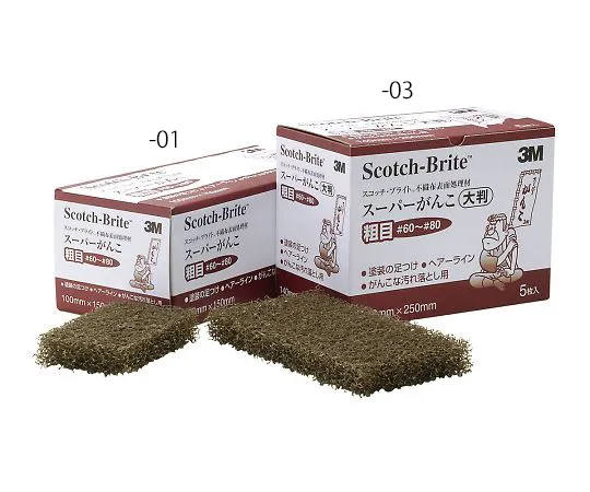 3-162-01　［Discontinued］Strong Abrasive Sponge Scotch-Brite(TM) 10 Pieces　SGANKOARAME