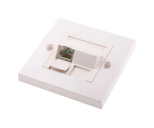 63-7989-66　RS PRO Angled Cat6 Face Plate,With STP Shield Type　791-8490