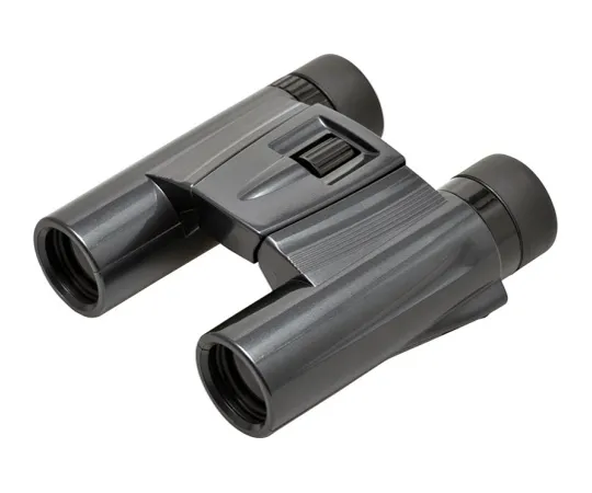 62-1618-64　［Discontinued］Ultraview Pastel+ 10-Power Binoculars Black 25mm　UPP1025BK