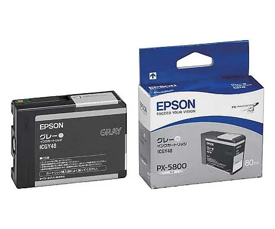 61-0512-65　［Discontinued］Epson Genuine Ink Cartridge Gray　ICGY48