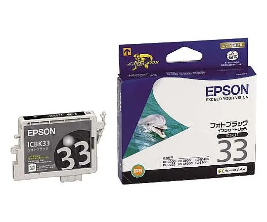 61-0511-97　［Discontinued］Epson Genuine Ink Cartridge (Photo Black)　ICBK33