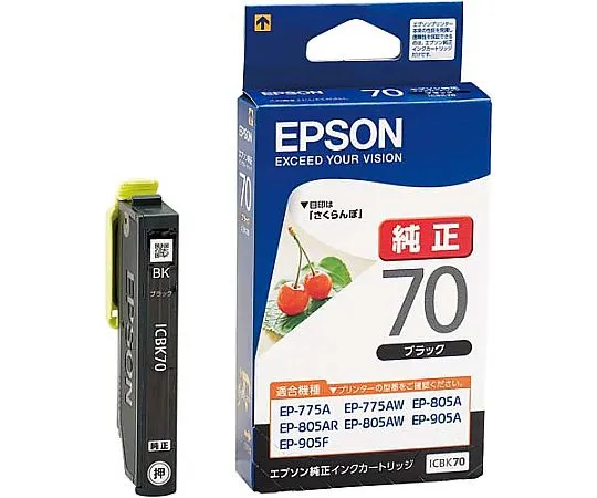 61-0512-18　［Discontinued］Epson Genuine Ink Cartridge Black　ICBK70