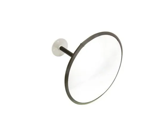 63-7963-11　RS PRO Acrylic Indoor Mirror, Circular　773-9685