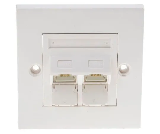 63-7989-67　Cat6 STP Faceplate Angled 2 Port　791-8494