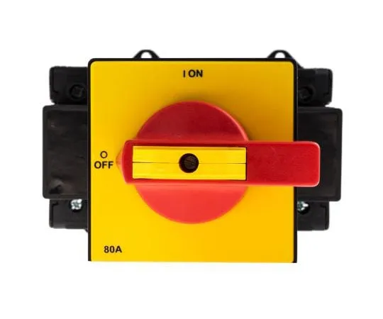 63-7962-83　6 Pole DIN Rail F***d Switch Disconnector, 6NO, 80 A, 55 kW, IP65　773-7982