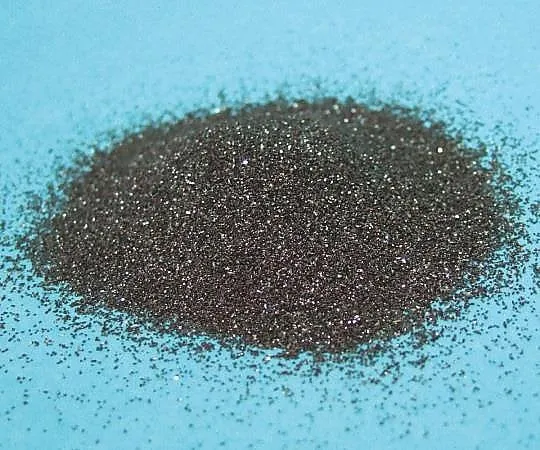 3-1956-01　Carborundum (Black Silicone Carbide) F24 Equivalent　C-24