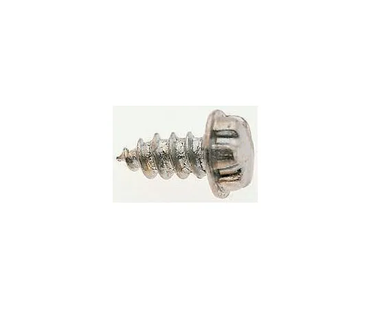 63-8339-85　Plain Flange Button Stainless Steel Tamper Proof Security Screw, No. 6 x 6mm　00-XSX-G0-06-03