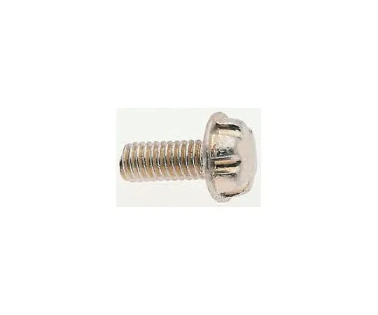 63-8339-98　Plain Flange Button Stainless Steel Tamper Proof Security Screw, M6 x 10mm　00-M06-G0-10-06
