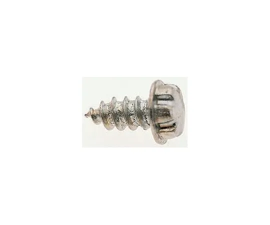 63-8339-83　Plain Flange Button Stainless Steel Tamper Proof Security Screw, No. 4 x 6mm　00-XFR-G0-06-03