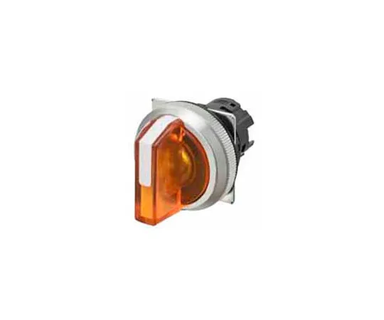 62-4463-28　［Discontinued］Switch　A30NZ-2ML-NYA