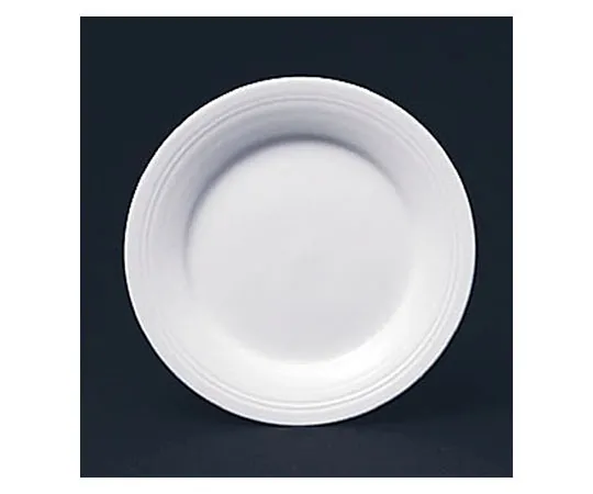 62-6833-16　［Discontinued］Yamaka YK11 Line Rim Plate 27 cm　YK116101