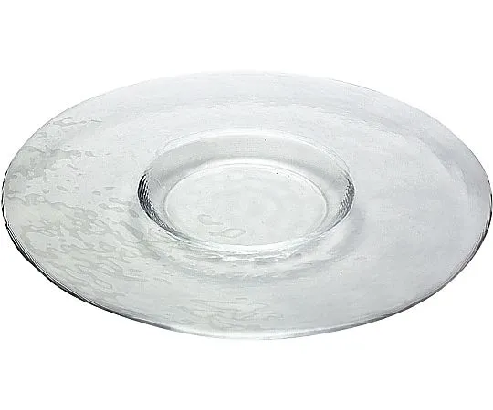 62-6835-36　［Discontinued］Fielitz Wide Rim Plate Clear