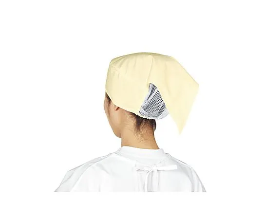 62-6631-02　［Discontinued］Server Cap Ultra Dry Color Cream　C2100-3