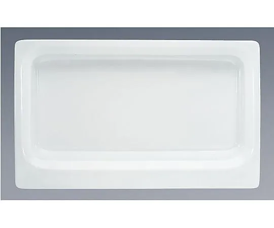 62-6672-05　［Discontinued］Scenario GN Dish 1/1 65 mm　9375802