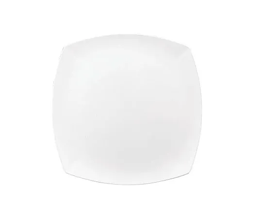 62-6672-28　［Discontinued］Event Buffet Platter　9322345