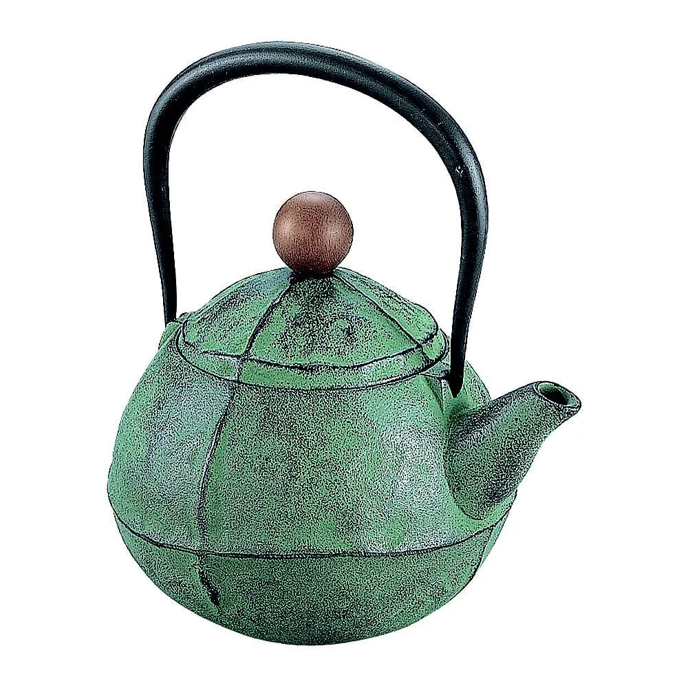 62-6526-39　［Discontinued］IK Iron Bottle Kurumu Green