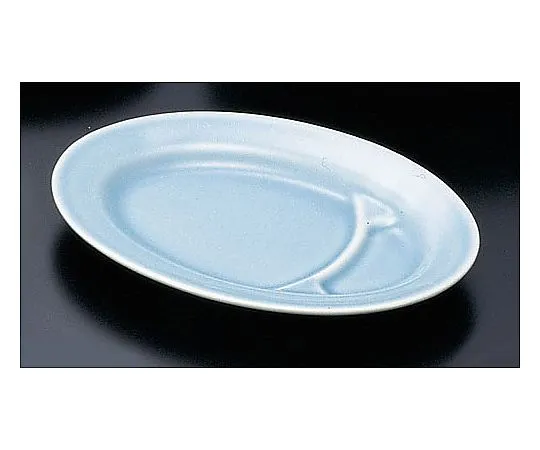 62-6847-01　［Discontinued］Ceramic 'Celadon' Small Size Plate with Divider 10 in　S-33