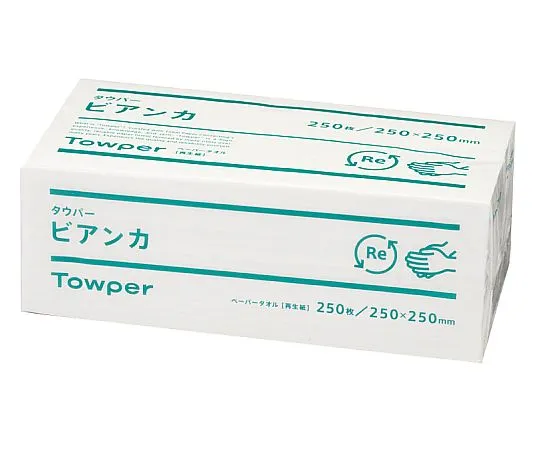 62-6619-63　［Discontinued］Tauper Bianca L (1 Case Contains 15 Bundles)