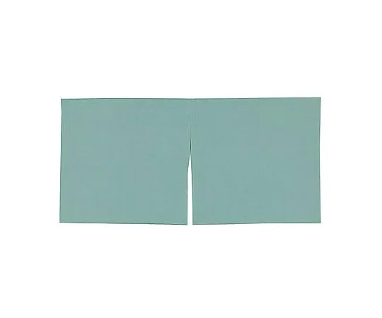 62-6319-54　［Discontinued］Half Noren Sui Plain Small Green