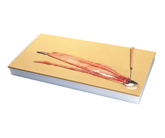 62-6429-82　［Discontinued］Plastic Cutting Board for Fresh Fish　2