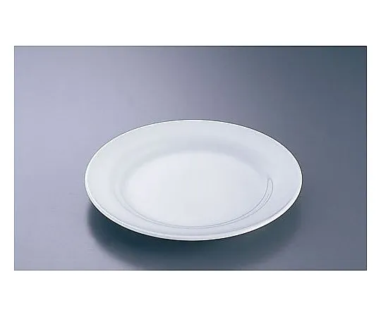62-6847-89　［Discontinued］White 9.0 Round Plate　CW-5