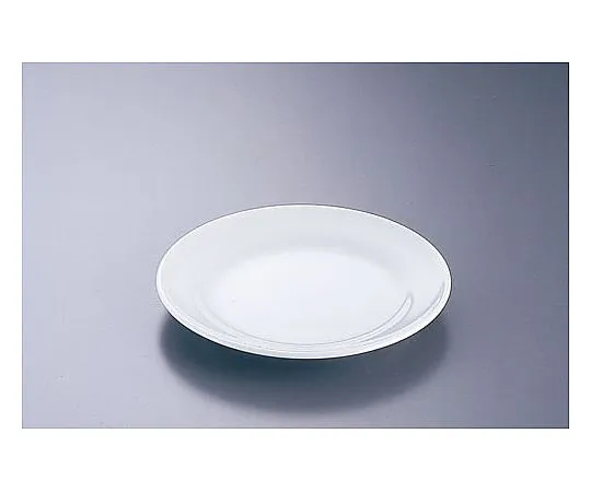 62-6847-87　［Discontinued］White 5.5 Round Plate　CW-3