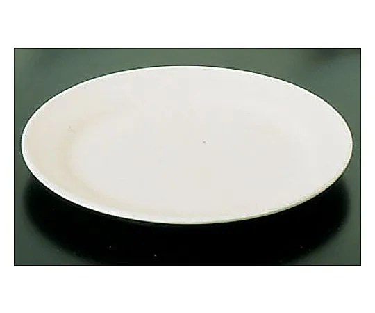 62-6832-78　［Discontinued］Brighton BR700 (White) Pan Plate 16 cm　RPV14