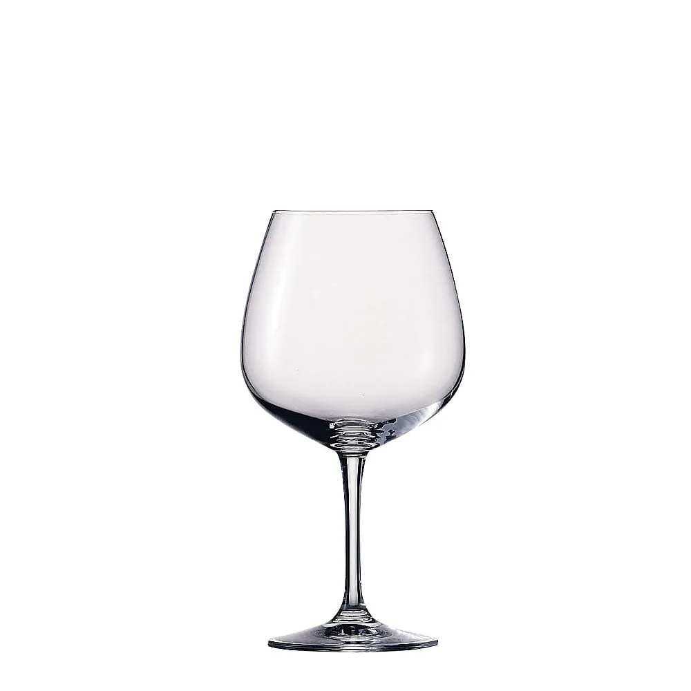 62-6810-04　［Discontinued］Aiche Vino Nobile Burgundy (6 Pieces)　25511010