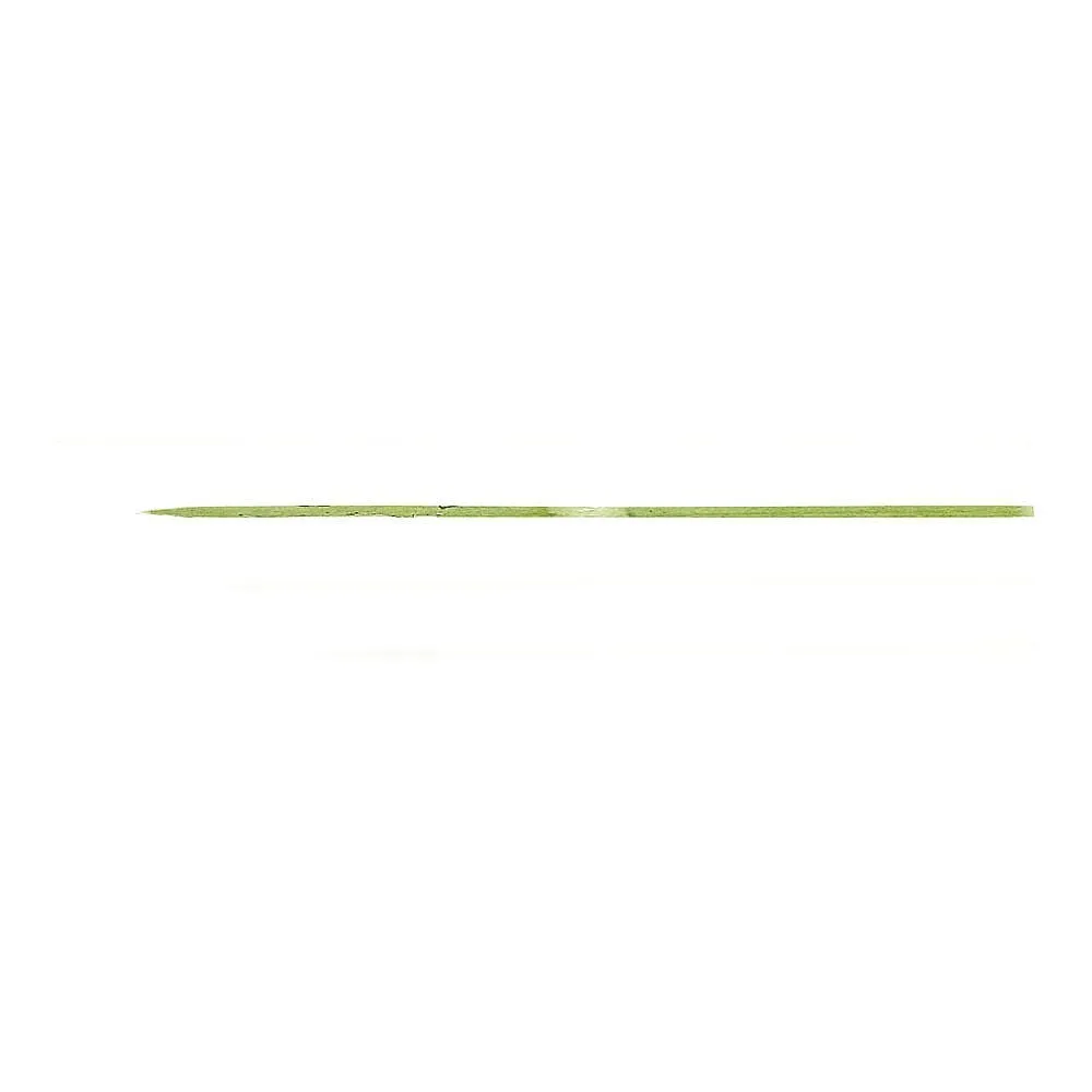 63-5718-63　［Discontinued］Bamboo Fish Skewers, 50 Skewers, 28 cm　RSK9401