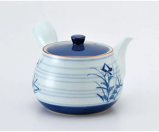 62-6844-94　［Discontinued］Kikyoe Kyusu　D05-26