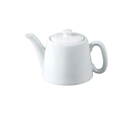 62-6831-24　［Discontinued］Apirco teapot 450 mL　THTR3SE