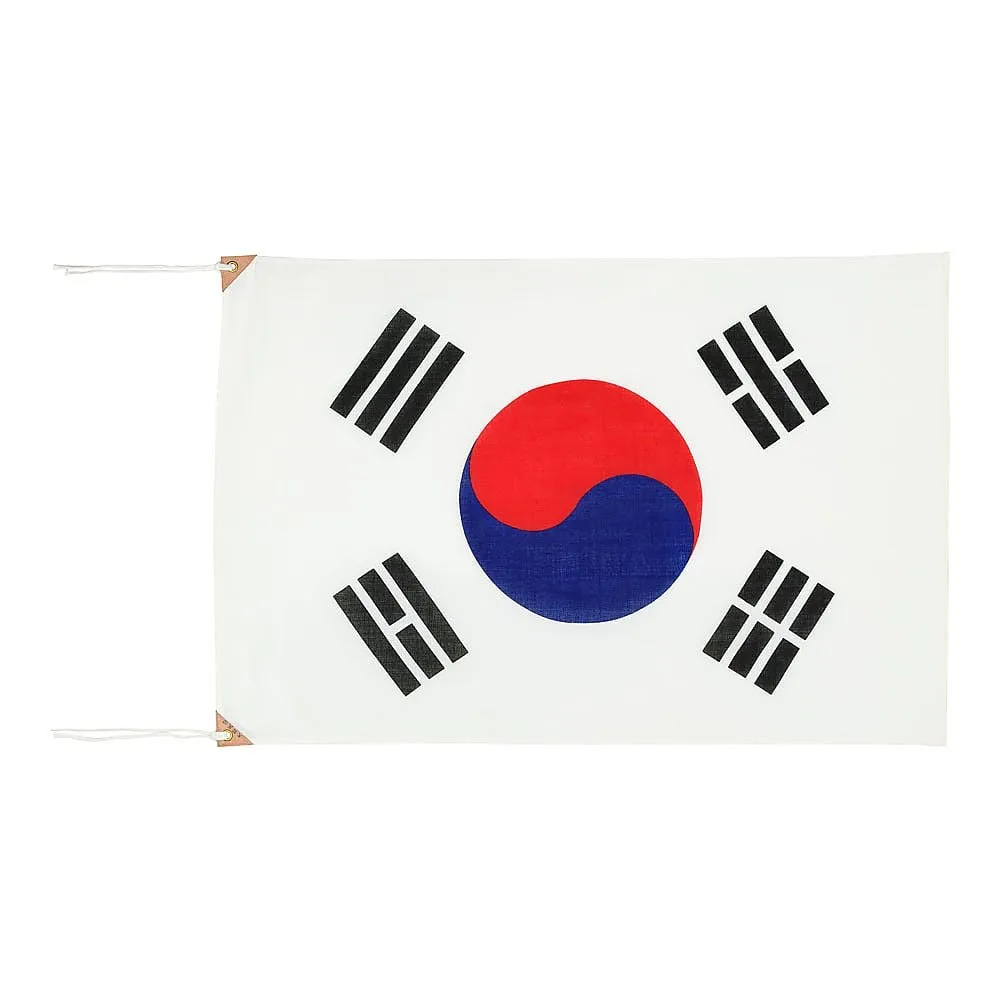 62-6317-93　［Discontinued］Exlan Flag 70 x 105 cm Republic of Korea