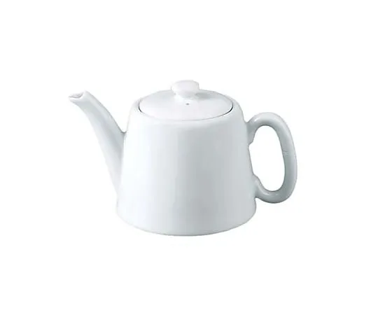 62-6831-25　［Discontinued］Apirco teapot 660 mL　THTR4SE