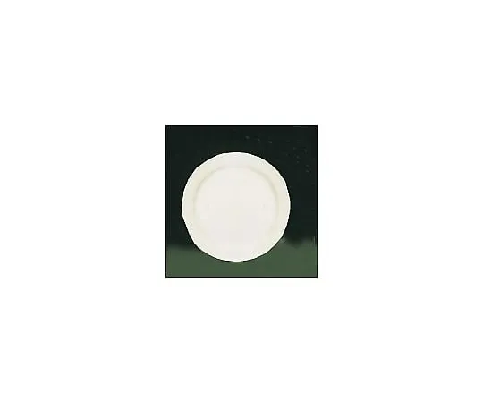 62-6832-75　［Discontinued］Brighton BR700 (White) Meat Plate 23 cm　RMC15