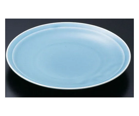62-6846-78　［Discontinued］ceramic 'celadon' extra-large plate shaku 2　S-11