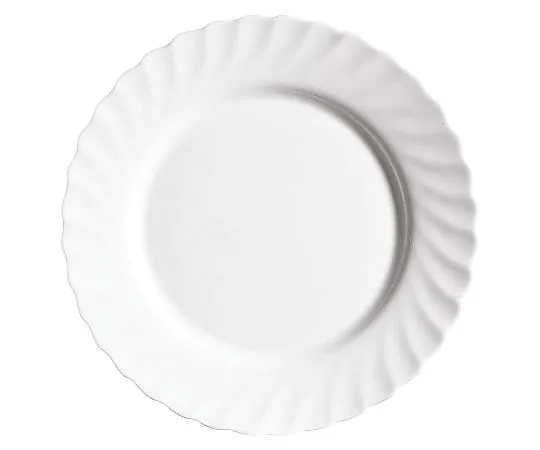 62-6834-13　［Discontinued］Trianon Steak Plate φ273 mm (68977)　D7552