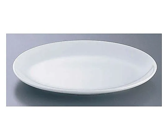 62-6847-97　［Discontinued］CW-19 White 8 Inch Platter