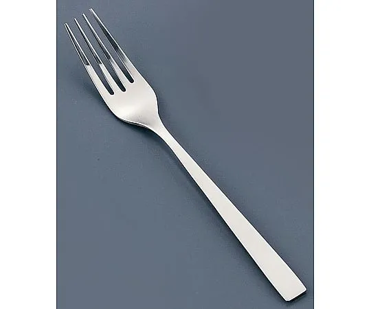 62-6719-44　［Discontinued］18-8 SUNAO Dinner Fork